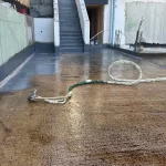 Poliüretan Köpük ve Polyurea Yalıtım Uygulamaları Galerisi Tahir İzolasyon